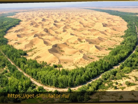 Китай превращает пустыню Такла-Макан в гигантский углеродный поглотитель