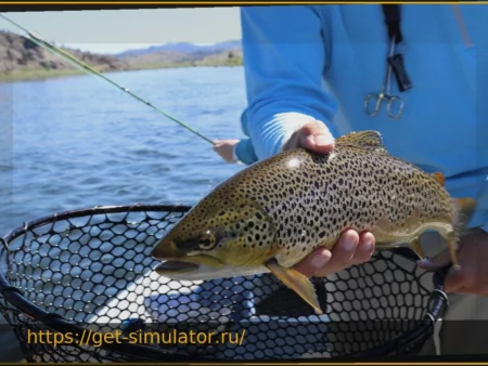 Распространение принципа ‘Поймал-отпустил’: Новая эра уважения в рыбалке