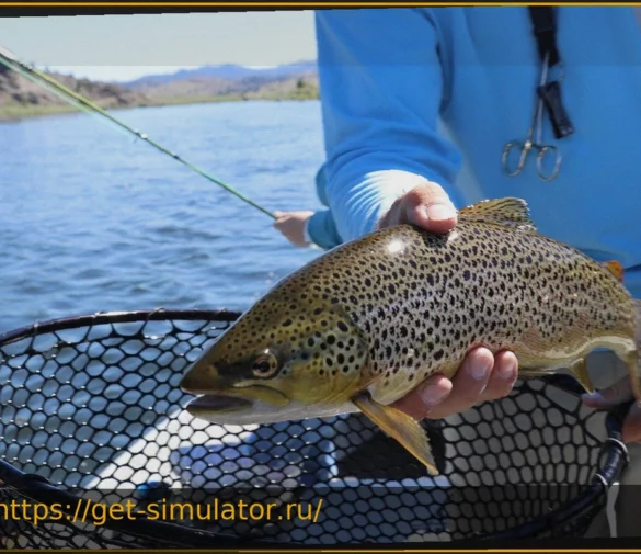 Распространение принципа ‘Поймал-отпустил’: Новая эра уважения в рыбалке