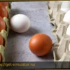Почему белые яйца загрязняют окружающую среду меньше коричневых: Sainsbury’s переходит на белые яйца после подтвержденных расчетов